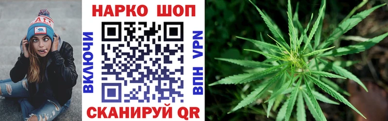 Каннабис Алексеевка